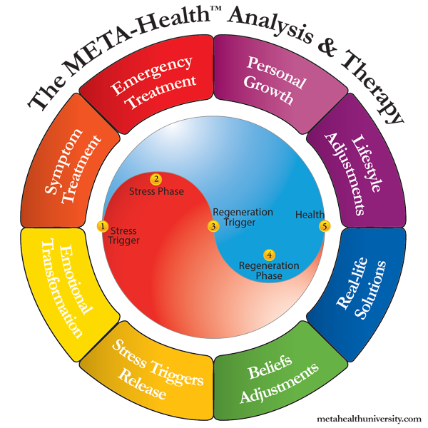 MHU_METAHealthAnalysisTherapyWheel600