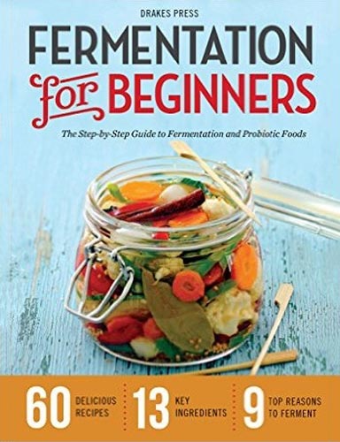 fermentation for beginners